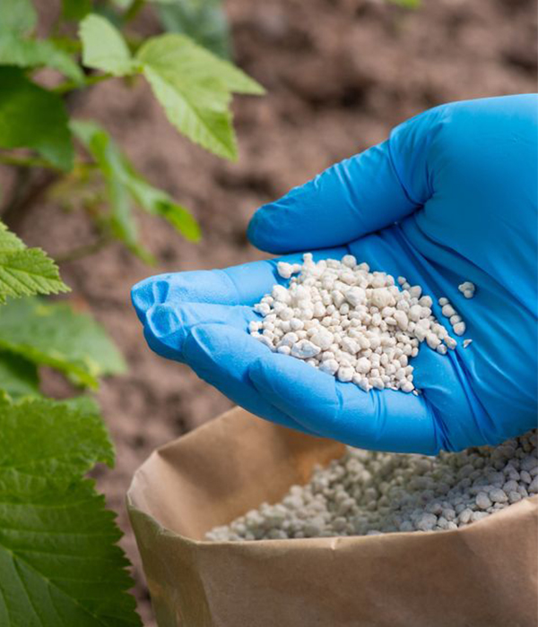 Fertilizers
