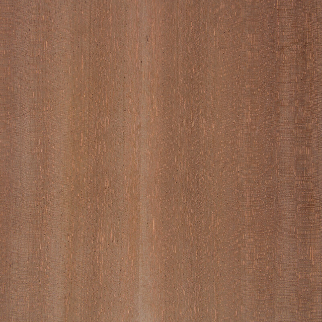 Sapelle VENEER