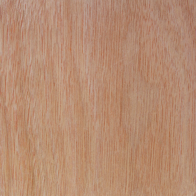 Mahogany VENEER