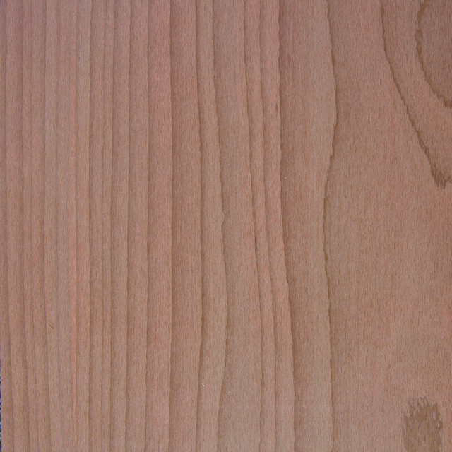 Steamed Beech VENEER
